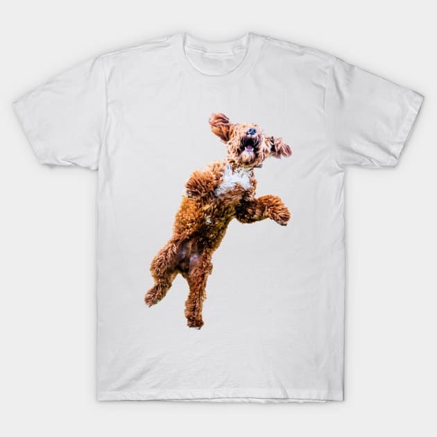 Mad Cockapoo 2 T-Shirt by tommysphotos